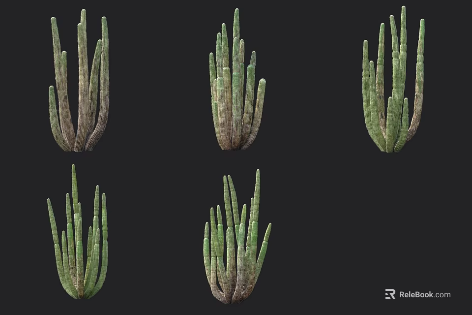 Different Types of Shrubs with Green Stems and Various Growth Forms Displayed 3d model 