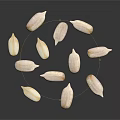 White Shelled Sunflower Seeds as Healthy Snack Arranged on Black Reflective Surface