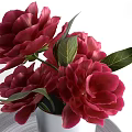 Elegant Bathroom Accessories With Red Flowers Red Bottles Silver Vase And Soap