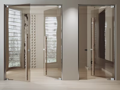 Modern Double Glass Doors with Metal Frame in Interior Light Wood Floor and Window View 3d model