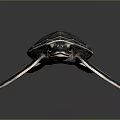 Turtle Cartoon Turtle Snapping Turtle Chickbill Turtle Reptile Cold Blooded Animal Reptile Class 3d model