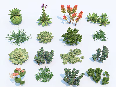 Bonsai Potted Plants With Various Succulent Types and Green Foliage Shapes 3d model
