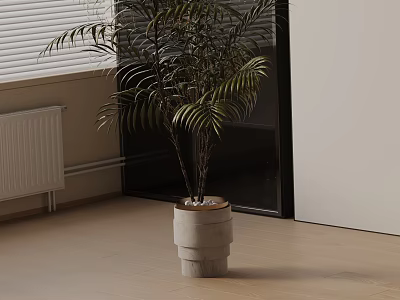 Palm Potted Plant In Marble Pot On Wooden Floor With Window Blinds And Radiator 3d model