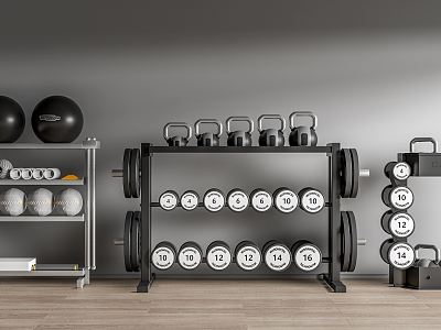 Modern fitness equipment dumbbell model