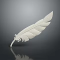 White Feather With Detailed Texture On Gray Gradient Background And Reflection 3d model
