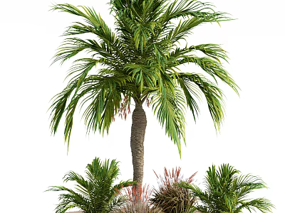 Lush Hanging Basket Plants With Green Palm Leaves And Decorative Foliage Design 3d model