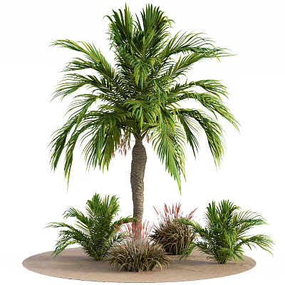 Lush Hanging Basket Plants With Green Palm Leaves And Decorative Foliage Design 3d model Lush Hanging Basket Plants With Green Palm Leaves And Decorative Foliage Design 3d model