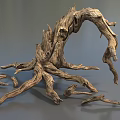 Weathered Tree Root With Gnarled Branches And Natural Wood Texture