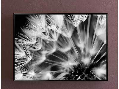 Black and White Dandelion Close Up Plant Painting in Framed Artwork 3d model