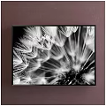 Black and White Dandelion Close Up Plant Painting in Framed Artwork