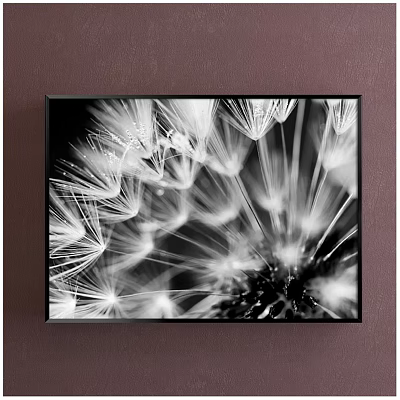 Black and White Dandelion Close Up Plant Painting in Framed Artwork 3d model