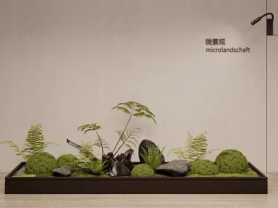 Natural Moss Micro Landscape Design With Ferns Stones And Wooden Base 3d model