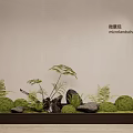 Natural Moss Micro Landscape Design With Ferns Stones And Wooden Base