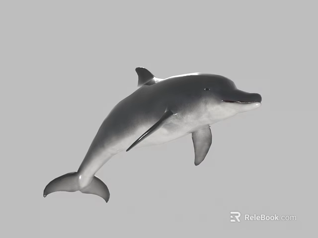 Gray White Streamlined Dolphin Leaping Gracefully with Curved Posture in Marine Habitat 3d model