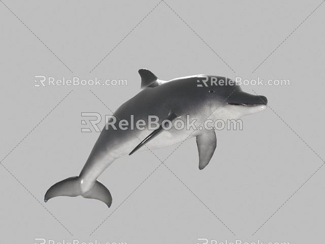 Modern Dolphins 3d model