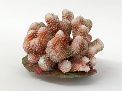 Elegant Coral Shaped Decorative Ornament Set With Pink White Design And Green Base 3d model