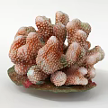 Elegant Coral Shaped Decorative Ornament Set With Pink White Design And Green Base
