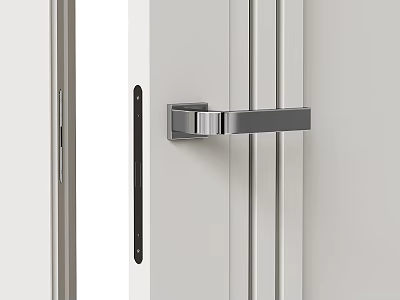 Sleek Modern Swing Door With White Panel Simple Structure And Stainless Steel Handle 3d model