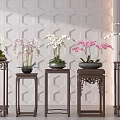 Potted Orchid Plants On Carved Wooden Stands Against Geometric Pattern Tile Wall