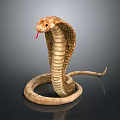 Realistic Brown Cobra With Hooded Neck Flicking Red Tongue On Dark Background