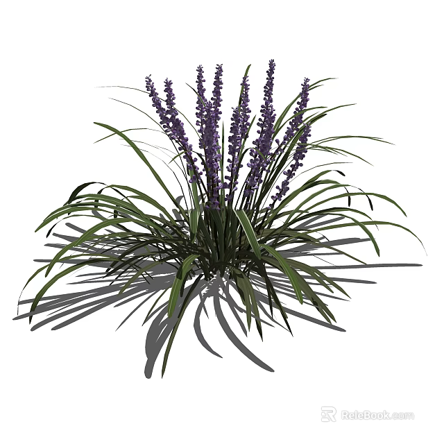 Purple Flowering Ornamental Plant With Long Green Leaves And Lush Foliage 3d model 