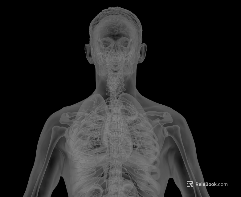 Advanced Medical Device for Human Skeletal X Ray Imaging and Bone Structure Scan 3d model 
