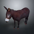 Brown Donkey Standing Against Dark Background With Natural Features