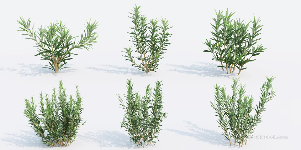 Various Green Leafy Shrubs With Different Growth Forms For Garden Decoration 3d model