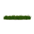 Vibrant Green Natural Grass With Irregular Shape And Soft Shadow