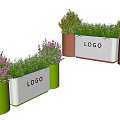 Bonsai Potted Plants In Green Brown White Planters With LOGO Purple Flowers And Green Leaves