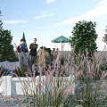 Garden Landscape Design With Lush Green Plants Stone Walkway And Gazebo Structure