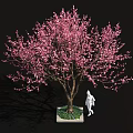 Pink Flowering Tree with White Base and Green Plants Near Human Figure Sculpture