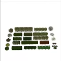 Diverse Ornamental Shrubs In Various Shapes Sizes And Colors For Landscaping