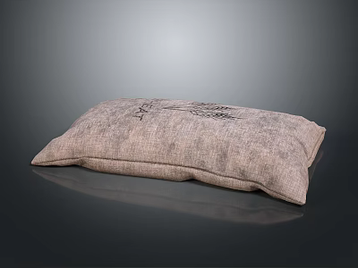 Soft Linen Pillow Cushion For Home Living With Natural Texture And Decorative Pattern 3d model
