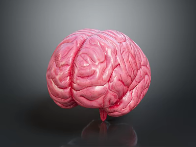 Intricate Human Brain Sculpture with Detailed Carving and Pink Textured Surface 3d model