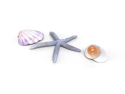 Organ And Hair Biological Specimens For Educational Biological Study 3d model