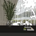 Modern Decorative Ornament Set with Glass Vase Green Plants Tray and Lime on Wooden Tabletop