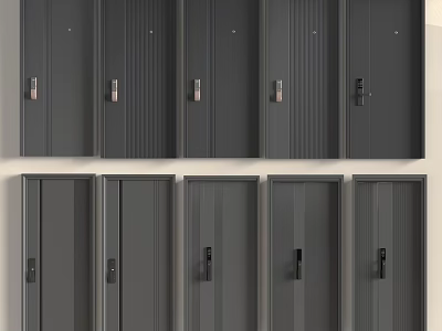 Modern Gray Security Doors In Various Styles For Home Safety 3d model