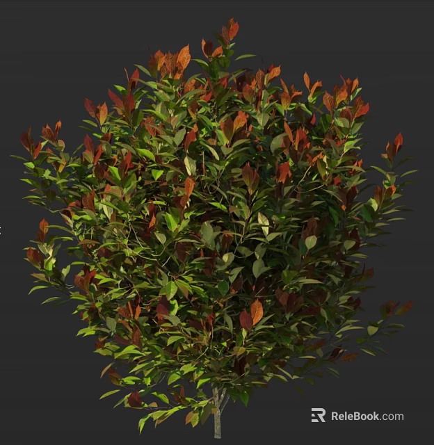 Lush Shrub with Green and Red Leaves and Dense Vibrant Foliage 3d model 