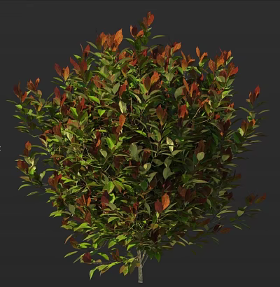 Lush Shrub with Green and Red Leaves and Dense Vibrant Foliage 3d model