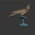 Taxidermy Bird With Brown And Orange Feathers On Blue Base Against Dark Background