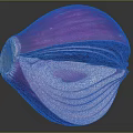 Fresh Sliced Purple Onion With Vibrant Purple Skin And White Layers
