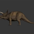 Realistic Triceratops Character 3D Model With Brown Skin Frilled Head And Horns