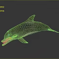 Detailed Dolphin Character 3D Model With Open Mouth And Reflection On Dark Background 3d model
