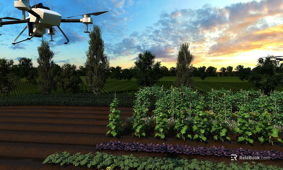 Drone Flying Over Farmland With Flat Door And Vegetable Beds At Sunset 3d model 