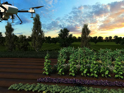 Drone Flying Over Farmland With Flat Door And Vegetable Beds At Sunset 3d model