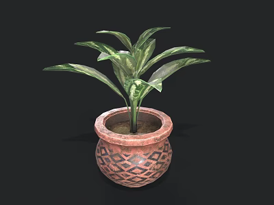 Indoor Green Leaf Plant in Brown Ceramic Pot with Geometric Patterns 3d model
