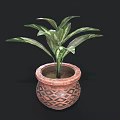 Indoor Green Leaf Plant in Brown Ceramic Pot with Geometric Patterns 3d model