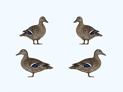 Four Reptiles Standing On White Background With Natural Skin Textures 3d model