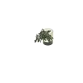 Clear Textured Glass Vase With Olive Branch Green Leaves And Olive Fruits For Home Decor